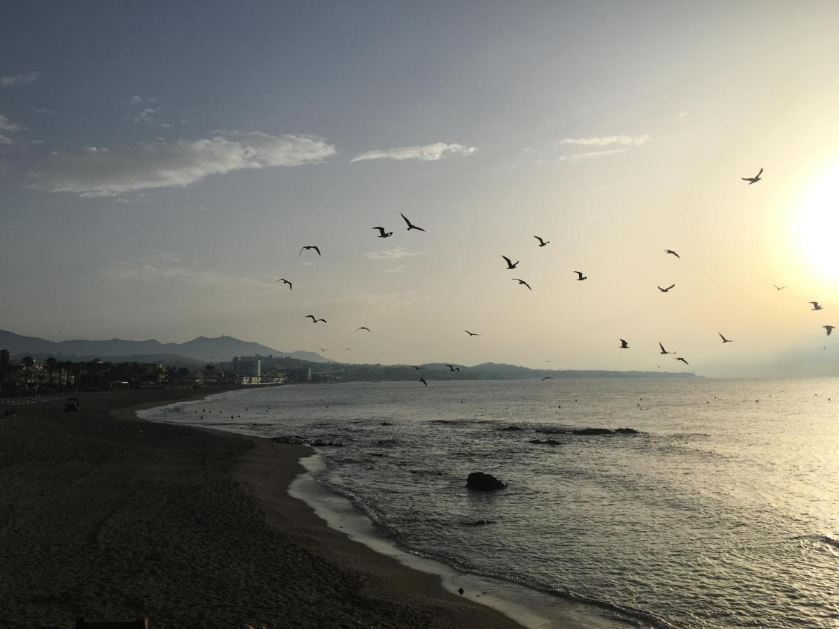 Apartamento Las Mimosas Beach 卡拉德米哈斯 外观 照片