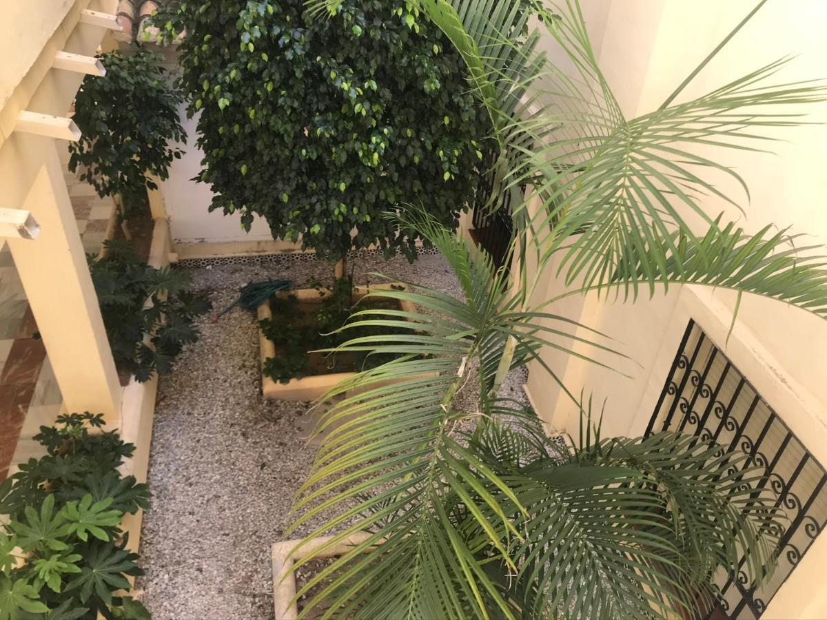 Apartamento Las Mimosas Beach 卡拉德米哈斯 外观 照片